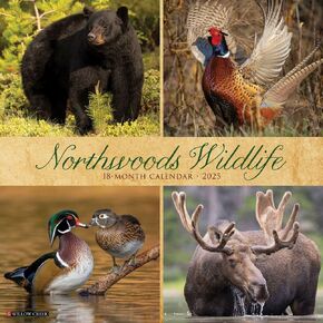 Willow Creek Press, Northwoods Wildlife 2025 Wall Calendar
