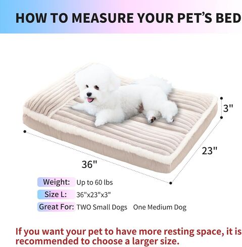 Luxury Dog Bed with Pillow Deluxe Flannel Pet Bed with Removable Washable Cover & Anti-Slip Bottom, Super Soft Dog Sofa Fluffy Dog Mat for Crate Kennel (Cream, Large(36 * 23 * 3 in)) in Saudi Arabia