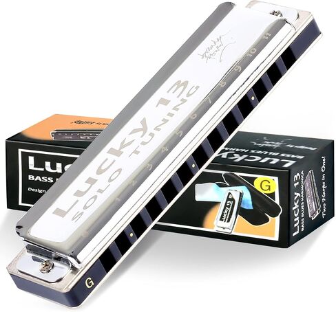 East top Lucky 13 Bass Plus Blues Harmonica 13 Holes Diatonic Harp Mouth Organ Professional Musical Instruments Solo harmonica D key for Adults in Kuwait