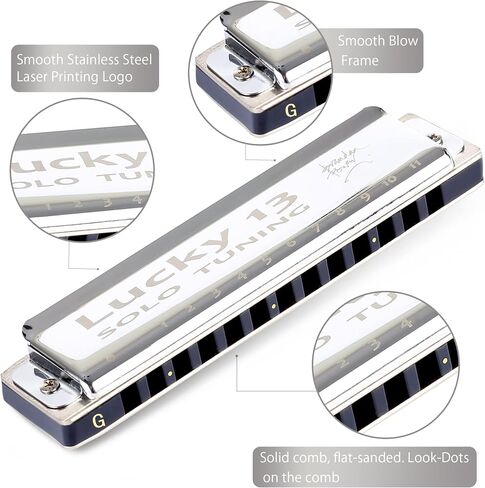 East top Lucky 13 Bass Plus Blues Harmonica 13 Holes Diatonic Harp Mouth Organ Professional Musical Instruments Solo harmonica D key for Adults in Kuwait