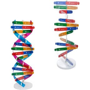 DNA Kit Self Double Helix Model Kit Armoving DNA DNA STAND DOUBLE HELIX MODEL JUNNES HEARDEN
