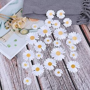 25pcs زهور ديزي مطرزة على الحديد على زين الدانتيل الزهري الدانتيل رقعة الألياف الحليب خياطة ملابس الملابس فستان الزفاف الحرفي ديي