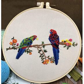 Abillyn Embroidery Starter Kit Two Parrots Stamped with Printed Pattern Cross Stitch Embroidery Kits (Parrot 2)