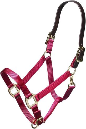 ARMA Shires Nylon Halter with Leather Head Strap in Saudi Arabia