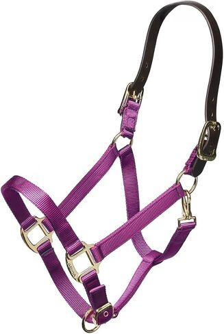 ARMA Shires Nylon Halter with Leather Head Strap in Saudi Arabia