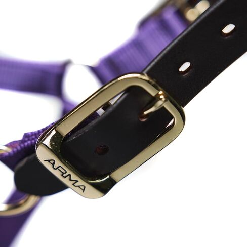 ARMA Shires Nylon Halter with Leather Head Strap in Saudi Arabia