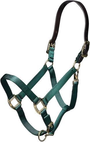 ARMA Shires Nylon Halter with Leather Head Strap in Saudi Arabia