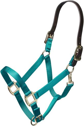 ARMA Shires Nylon Halter with Leather Head Strap in Saudi Arabia