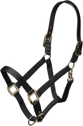 ARMA Shires Nylon Halter with Leather Head Strap in Saudi Arabia