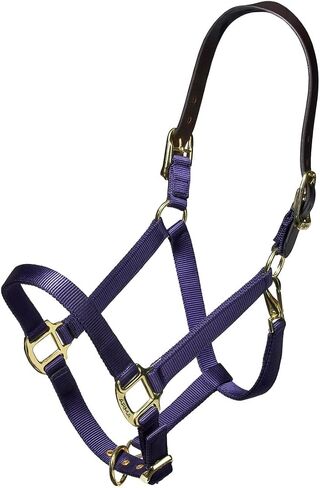 ARMA Shires Nylon Halter with Leather Head Strap in Saudi Arabia