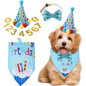 Birthday Party Supplies Birthday Boy Girl Cake Bandana Triangle Scarf Clothes Shirt Cute Dog Hat Dog Bow Tie Collar with 0-8 Numbers (Medium, Cute Style)