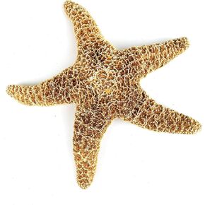 Heyiwell 1PC Larage Sugar Starfish,Brown Sugar Starfish for Beach Arts and Crafts Home Decor 9"~10" Inch