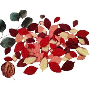 Leaves Roses Flower Mulberry Paper Crafts Leaves Artificial Flowers Leaf Cut Out Paper for Scrapbooking Wedding Doll House Supplies Card. (White) in Kuwait