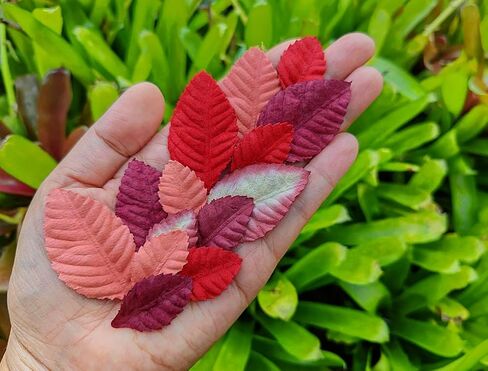 Leaves Roses Flower Mulberry Paper Crafts Leaves Artificial Flowers Leaf Cut Out Paper for Scrapbooking Wedding Doll House Supplies Card. (White) in Kuwait