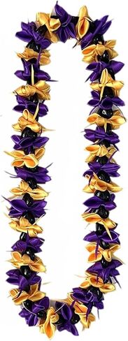 Graduation Leis Braided Lei Class of 2025 Honor Cord Rope for Graduation Party Student Grad DIY Decors Gold, Blue in Saudi Arabia