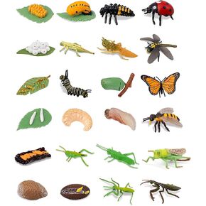 24pcs دورات دورة الحياة ، تماثيل الحشرات دورة حياة فراشة العاهل ، نحلة العسل ، الخنفساء ، mantis الصلاة ، اليعسوب ، جندان أرقام أخطاء أخطاء الأرقام التعليمية