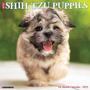 Willow Creek Press ، Just Shih Tzu Puppies 2025 Calendar