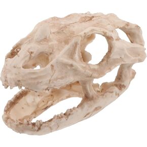 Gadpiparty Fish Tank Dragon Skull Decorations Reptile Hide Cave Crocodile Skull Hideout Resin Skulls Reptiles Habitat Shrimp Hiding Place Aquarium Decor