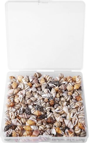 500pcs صدف صغير صغير صغير مع فتحة ذيل ، حبات لصنع المجوهرات DIY: أساور صنع حبات الشعر in Kuwait