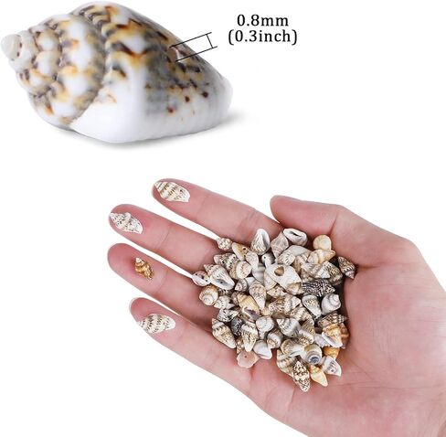 500pcs صدف صغير صغير صغير مع فتحة ذيل ، حبات لصنع المجوهرات DIY: أساور صنع حبات الشعر in Kuwait
