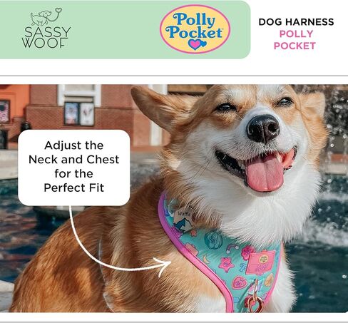 Polly Pocket™ Dog Leash 60-Inch with Neoprene Padded Handle - Comfortable, Durable, and Stylish for Small to Large Dogs - Officially Licensed in Kuwait