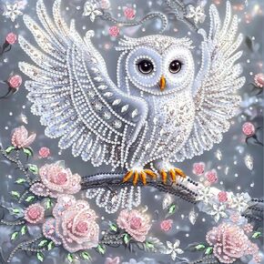 Maxbye Owl Diamonds Painting مجموعات للبالغين ، فن الماس 5D DIY للمبتدئين مع الحرف الخاصة بالشكل الخاص بالشكل الكريستالي لتزيين الجدار المنزلي 12x12in