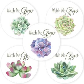 Succulent Watch Me Grow Stickers For Baby Shower Greenery Party by Adore By Nat - Favor Labels Decor - Set of 50
