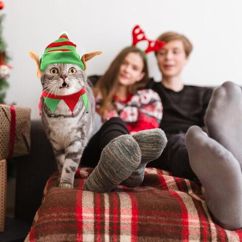 Threetols Dog Christmas Costumes Set, Dog Christmas Outfit Dog Cat Green Red Top Hat Outfit Funny Elf Xmas Hat and Collar with Bell Set for Puppy Winter New Year Holiday Accessories Supplies（S） in Saudi Arabia