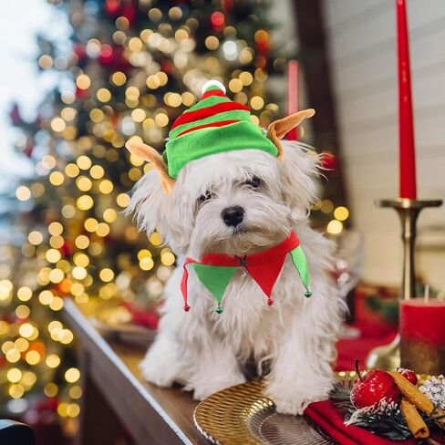 Threetols Dog Christmas Costumes Set, Dog Christmas Outfit Dog Cat Green Red Top Hat Outfit Funny Elf Xmas Hat and Collar with Bell Set for Puppy Winter New Year Holiday Accessories Supplies（S） in Saudi Arabia