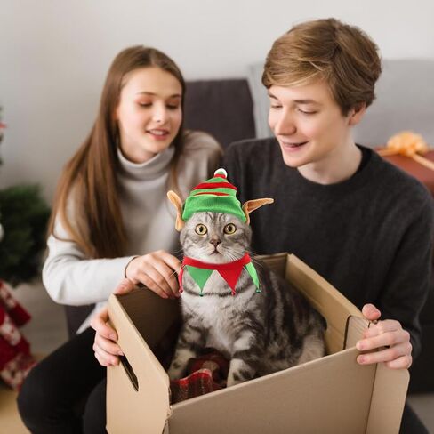 Threetols Dog Christmas Costumes Set, Dog Christmas Outfit Dog Cat Green Red Top Hat Outfit Funny Elf Xmas Hat and Collar with Bell Set for Puppy Winter New Year Holiday Accessories Supplies（S） in Saudi Arabia