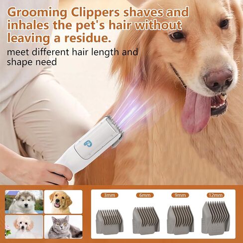 طقم أليف وألواح أليف شفط 99 ٪ من شعر الحيوانات الأليفة ، 5 IN-1 Pet Grooming Kit مع كوب غبار كبير سعة 2L ، مزيل شعر الكلاب منخفضة الضوضاء لاستئصال القطط الكلاب والحيوانات الأخرى ، in Kuwait