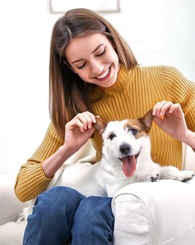 طقم أليف وألواح أليف شفط 99 ٪ من شعر الحيوانات الأليفة ، 5 IN-1 Pet Grooming Kit مع كوب غبار كبير سعة 2L ، مزيل شعر الكلاب منخفضة الضوضاء لاستئصال القطط الكلاب والحيوانات الأخرى ، in Kuwait