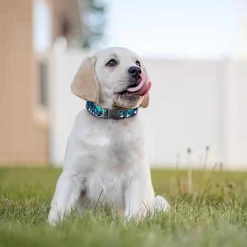 KEIAHUAN Purple Camo Dog Collar wih Quick Release Buckle and Safety Lock, Breathable Adjustable Puppy Collar for Small, Mediun, Large Dogs in Saudi Arabia