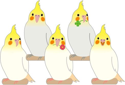 GreetingLife ETN-116 Animal Die Cut Memo Cockatiel in Kuwait