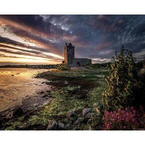 Zuvrdiai Ireland Galway Castle Painting by Numbers DIY Canvas Piole Painting Kit Digital Painting 16 × 20 بوصة بدون إطار