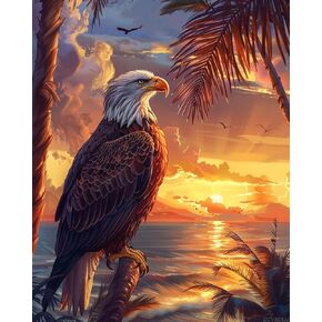 ZUVRDIAI Paint by Numbers Eagle for Adults, Acrylic Oil Painting by Numbers Kits for Beginner with Brushes Art Crafts Canvas for Home Decor 16x20 Inch