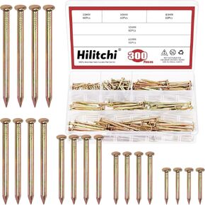 Hilitchi 301PCS 5 Sizes Brick Steel Nails Assortment Kit 0.78" 1.2" 1.58" 2" 2.36" Galvanized Concrete Wall Nail Cement Nails for Concrete Brick Drywall(White) in Kuwait