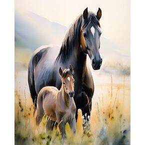 Qaceyid DIY Pion Paint Paint by Number Kit Watercolor ، Black Horse ، Mare ، Pain Diy Painting by Number kits paint paint Decor