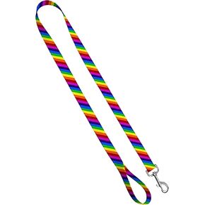 Moose Pet Wear Deluxe Dog Consh - مقودات حيوانات أليفة شديدة التحمل ، 1 بوصة × 4 أقدام ، شريط قوس قزح