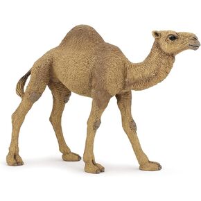 Papo -Hand-Painted - Figurine -Wild Animal Kingdom - Dromedary -50151 -Collectible - for Children - Suitable for Boys and Girls- from 3 Years Old