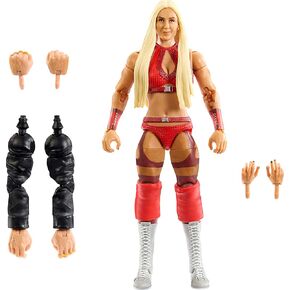 Mattel WWE Elite Collection Action Figuer