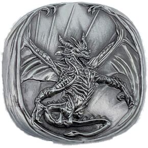 Silver Dragon Dragon Coin D2 Heads-Tails-نعم لا RPG LARP