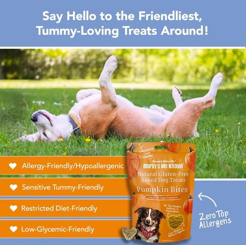 Marcy's Pet Kitchen- Diabetic All Natural, Crunchy, Pumpkin Biscuit Dog Treats - No Preservatives-Crunchy Approved- Vegan, Gluten Free, Human Grade, Made in The USA, Healthy Pumpkin Dog Treats in Saudi Arabia