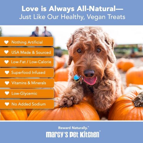 Marcy's Pet Kitchen- Diabetic All Natural, Crunchy, Pumpkin Biscuit Dog Treats - No Preservatives-Crunchy Approved- Vegan, Gluten Free, Human Grade, Made in The USA, Healthy Pumpkin Dog Treats in Saudi Arabia
