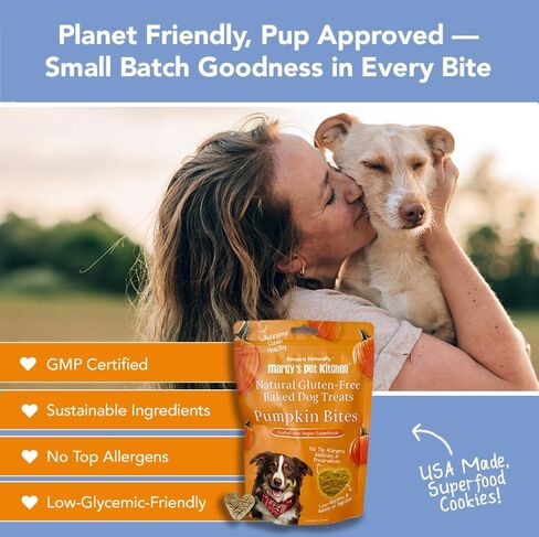 Marcy's Pet Kitchen- Diabetic All Natural, Crunchy, Pumpkin Biscuit Dog Treats - No Preservatives-Crunchy Approved- Vegan, Gluten Free, Human Grade, Made in The USA, Healthy Pumpkin Dog Treats in Saudi Arabia