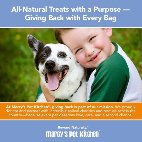 Marcy's Pet Kitchen- Diabetic All Natural, Crunchy, Pumpkin Biscuit Dog Treats - No Preservatives-Crunchy Approved- Vegan, Gluten Free, Human Grade, Made in The USA, Healthy Pumpkin Dog Treats in Saudi Arabia