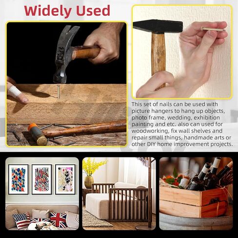 Hilitchi 301PCS 5 Sizes Brick Steel Nails Assortment Kit 0.78" 1.2" 1.58" 2" 2.36" Galvanized Concrete Wall Nail Cement Nails for Concrete Brick Drywall(White) in Kuwait