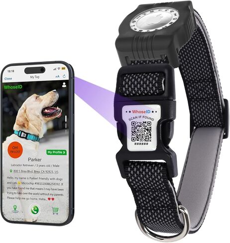 طوق الكلب العاكس مع حامل الجوية ، طوق الكلب القابل للتعديل مع النيوبرين مبطنة ومضادة لخطأ رمز QR (أسود ، متوسطة) in Kuwait