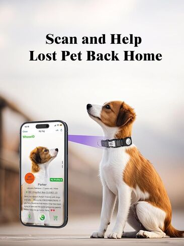 طوق الكلب العاكس مع حامل الجوية ، طوق الكلب القابل للتعديل مع النيوبرين مبطنة ومضادة لخطأ رمز QR (أسود ، متوسطة) in Kuwait