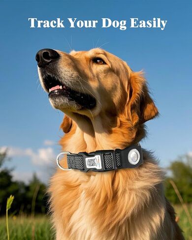 طوق الكلب العاكس مع حامل الجوية ، طوق الكلب القابل للتعديل مع النيوبرين مبطنة ومضادة لخطأ رمز QR (أسود ، متوسطة) in Kuwait